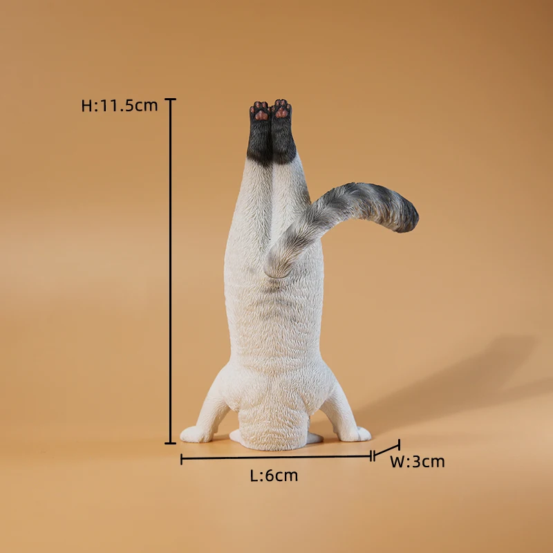Modellino di gatto yoga in sca - Yoga Fitness Model recensione e prezzo