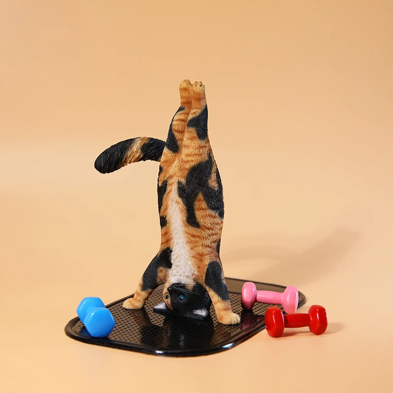 Modellino di gatto yoga in sca - Yoga Fitness Model recensione e prezzo