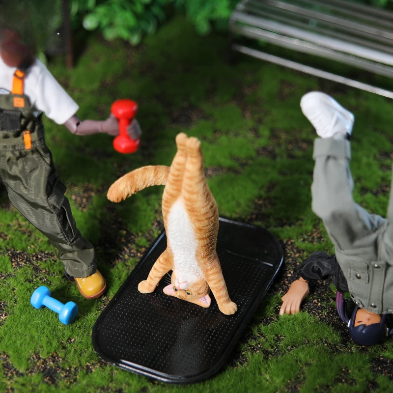 Modellino di gatto yoga in sca - Yoga Fitness Model recensione e prezzo